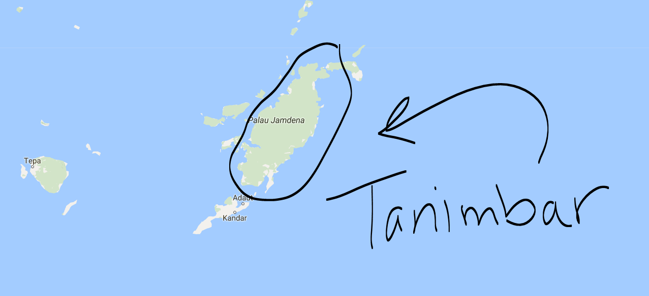 Tanimbar Island BUDGET BIRDERS